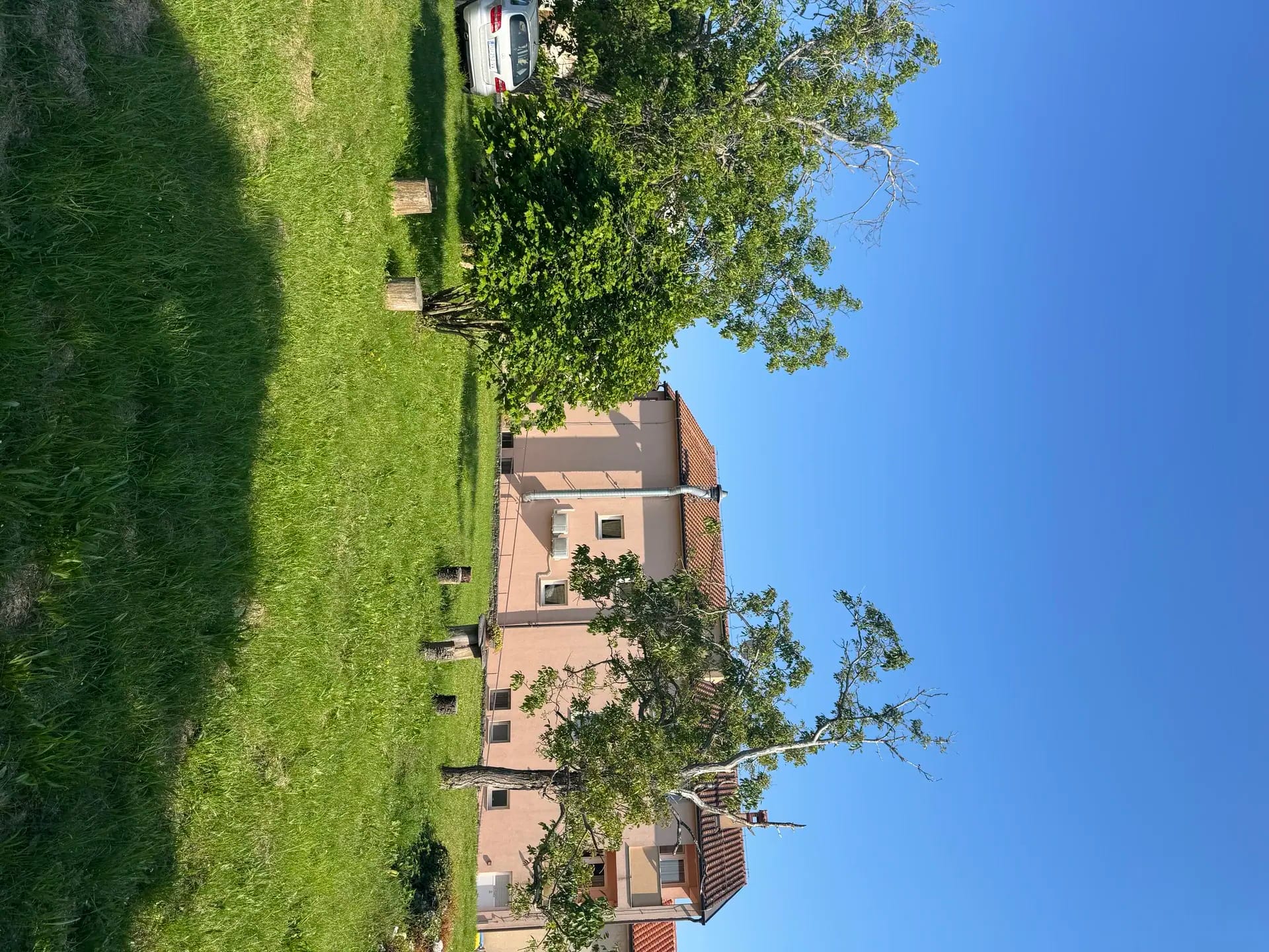 Orchard around Villa Fabris