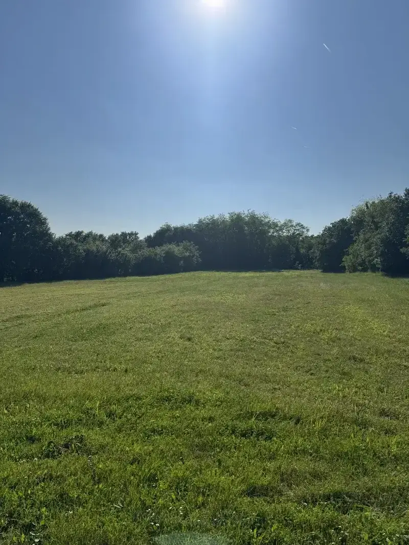 Beautiful natural environment of Villa Fabris