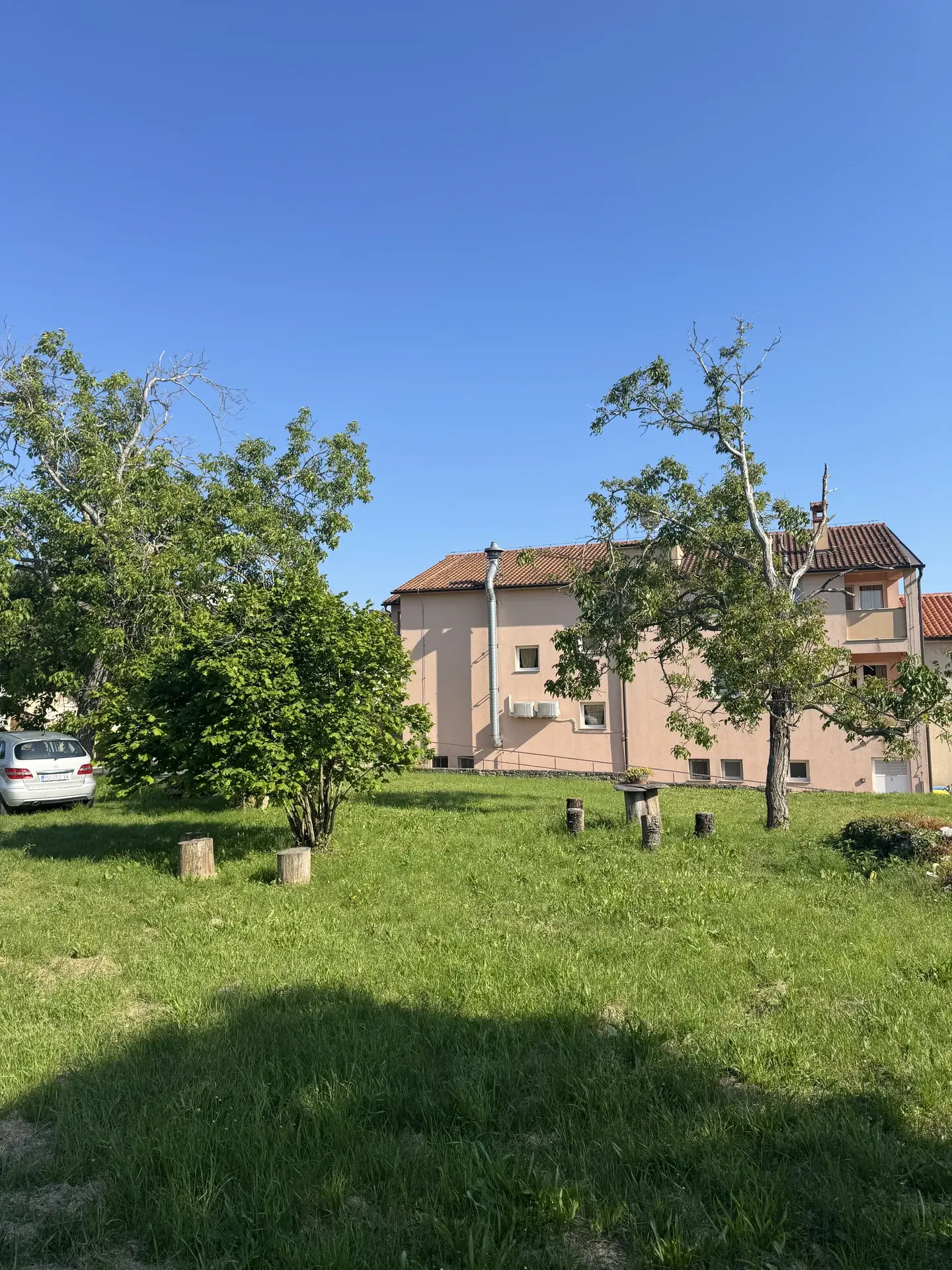 Orchard around Villa Fabris